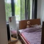 Rent 2 bedroom apartment of 41 m² in Krakow