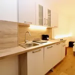 Miete 1 Schlafzimmer wohnung von 35 m² in Vienna