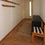 Rent 1 bedroom apartment of 100 m² in Budapest