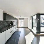 Rent 4 bedroom apartment of 293 m² in Capital City of Prague