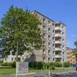 Rent 3 bedroom apartment of 73 m² in Dortmund