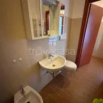 Rent 1 bedroom apartment of 40 m² in Borgosatollo