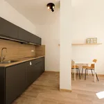 Rent 1 bedroom apartment of 35 m² in Brno