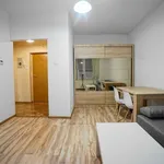 Rent 1 bedroom apartment of 33 m² in Zabrze, Władysława Orkana