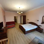 Rent 1 bedroom apartment in Karlovy Vary