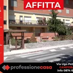 Rent 2 bedroom apartment of 50 m² in Campobasso