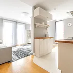 Rent 3 bedroom apartment of 64 m² in Łódź