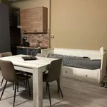 Rent 1 bedroom apartment of 35 m² in Torino