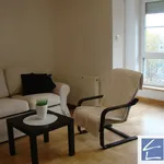 Rent 4 bedroom apartment in Szczecin