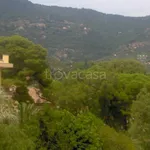 Rent 3 bedroom apartment of 65 m² in Alassio