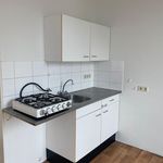 Studio van 40 m² in Oranjewijk