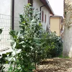 Appartamento in affitto a Sotto il Monte Giovanni XXIII via Ca' Maitino, 3A, non arredato/vuoto, giardino privato, terrazzo - TrovaCasa