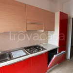 Rent 4 bedroom apartment of 90 m² in Biella