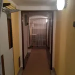 Rent 1 bedroom apartment of 45 m² in Zlín