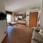 Rent 2 bedroom apartment of 50 m² in Rimini