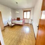 Rent 4 bedroom apartment of 80 m² in Pisa