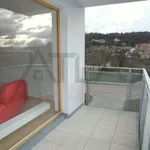 Pronajměte si 4 ložnic/e byt o rozloze 141 m² v Prague