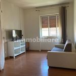 Rent 4 bedroom apartment of 130 m² in Caserta