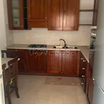 Rent 3 bedroom apartment of 77 m² in Ariccia