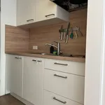 Miete 1 Schlafzimmer wohnung von 30 m² in Lindau (Bodensee)