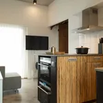 Rent 1 bedroom apartment of 45 m² in Amsterdam