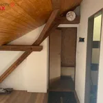 Rent 1 bedroom apartment of 60 m² in Studénka