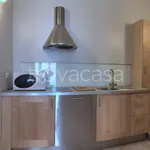 Rent 2 bedroom apartment of 60 m² in Milano