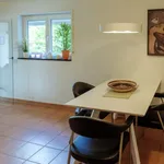 Rent 3 bedroom apartment of 65 m² in Weil am Rhein