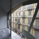 Rent 1 bedroom apartment of 45 m² in Torino