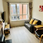 Rent 1 bedroom apartment of 45 m² in dublin