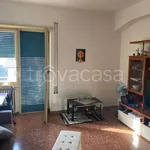 Affitto 2 camera appartamento di 60 m² in Frosinone