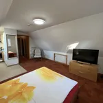 Rent 1 bedroom apartment of 30 m² in Friedrichshafen