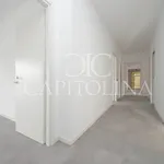 Rent 4 bedroom apartment of 195 m² in Roma