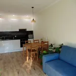 Rent 3 bedroom apartment of 54 m² in Toruń