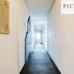 Rent 1 bedroom apartment in Plzeň-jih