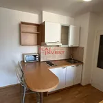 Rent 1 bedroom apartment in Capital City of Prague