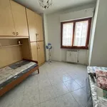 Rent 4 bedroom apartment of 111 m² in Roma