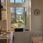 Rent 3 bedroom apartment of 48 m² in Bochum