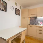 Rent 1 bedroom apartment of 27 m² in Prague