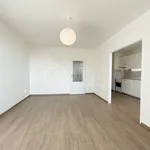 Rent 3 bedroom apartment of 74 m² in Capital City of Prague