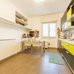 Rent 4 bedroom apartment of 120 m² in Milan