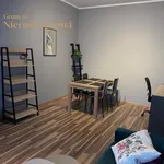 Rent 2 bedroom apartment of 48 m² in Poznan