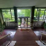 Rent 2 bedroom apartment of 50 m² in Turin