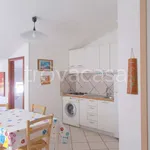 Rent 3 bedroom apartment of 50 m² in Santa Maria a Vico