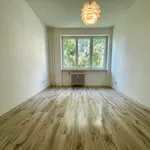 Rent 1 bedroom apartment in Prague