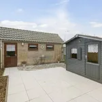 Rent 3 bedroom house of 75 m² in Terneuzen