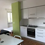 Rent 1 bedroom apartment of 45 m² in Torino