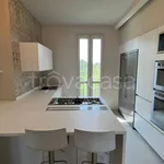 Rent 5 bedroom apartment of 100 m² in Reggio nell'Emilia