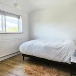 Rent 1 bedroom house in Colchester