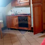 Rent 2 bedroom apartment of 50 m² in Ferrara